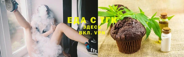 индика Алзамай