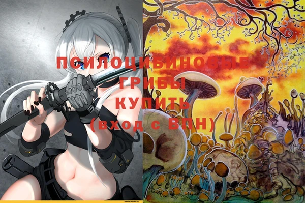 МДПВ Алексин