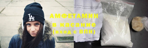 индика Алзамай
