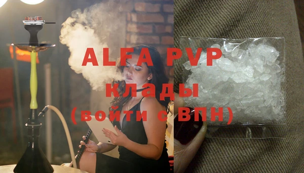 индика Алзамай