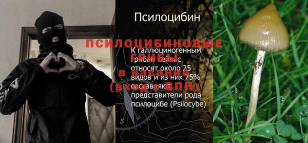 МДПВ Алексин
