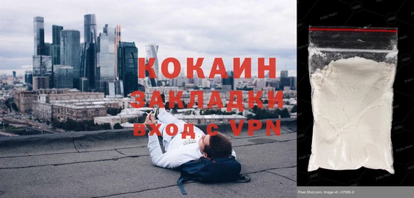индика Алзамай
