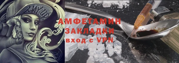 индика Алзамай
