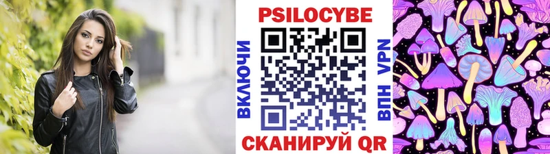 закладки  Берёзовка  kraken онион  Галлюциногенные грибы Cubensis 